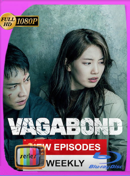 Vagabond (2019) Temporada 1 HD [1080p] Latino [Google Drive] Panchirulo