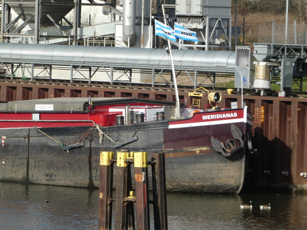 2021.02.25e Meridianas