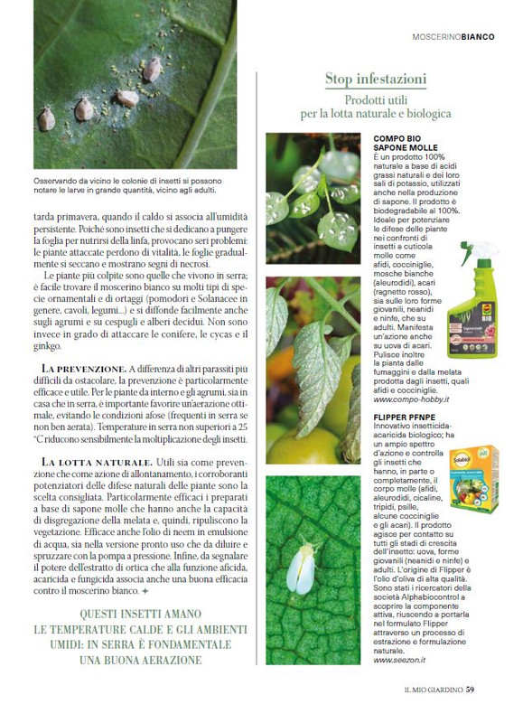 il mio Giar Feb-Mar 2025 (10)