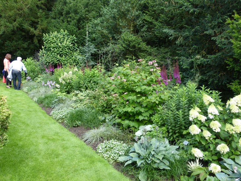 2014-07-13 Arboretum Härle 6