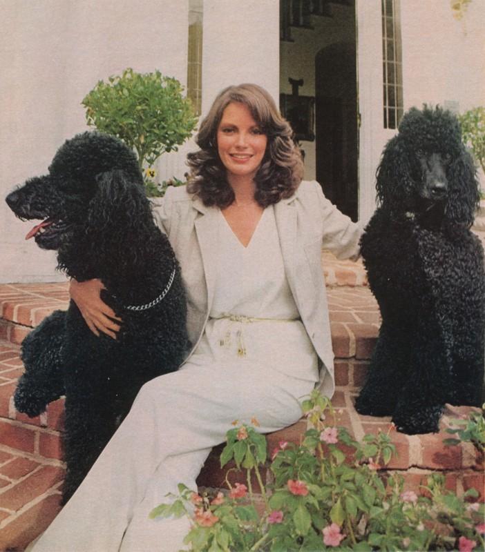 cb_jaclyn_smith_0440