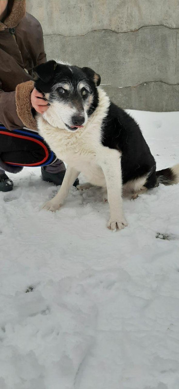 A06877E8-605A-4A00-8DAE-02ACFD911893