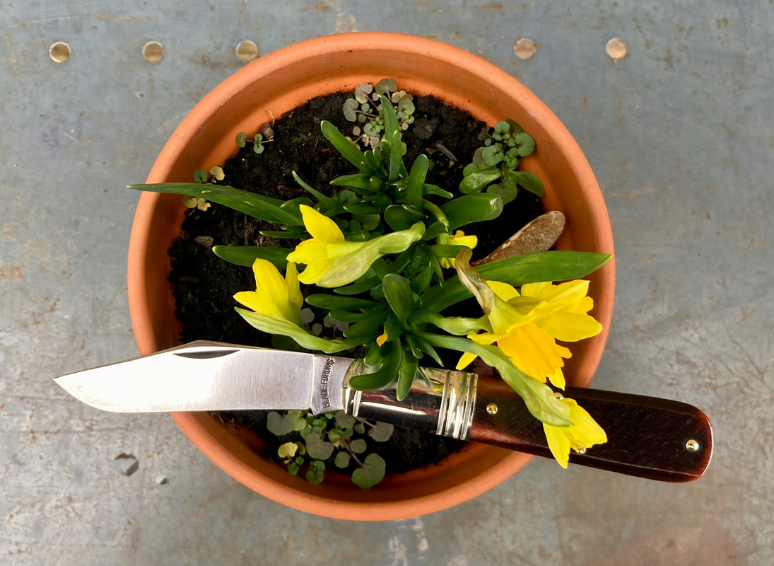 147DB62A-8E5A-46FE-A10C-203039C2460B