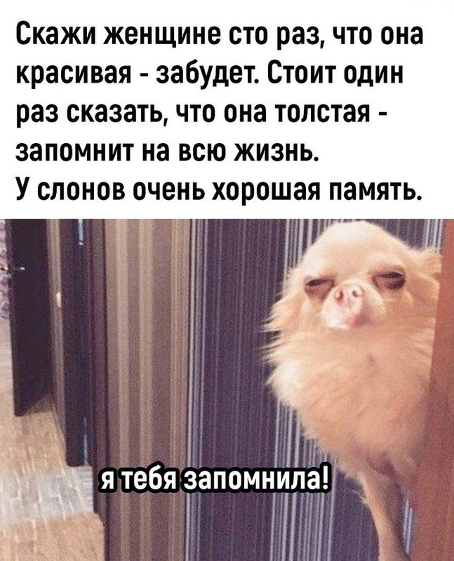 8FHrtuignmgooM3PGktXN3HsSdoOxQspB0IRZXHlEBX4bu8rDY4SLH1yaxq09CFSz_4sHfoS_nMWQF5Yhv7pKQRL