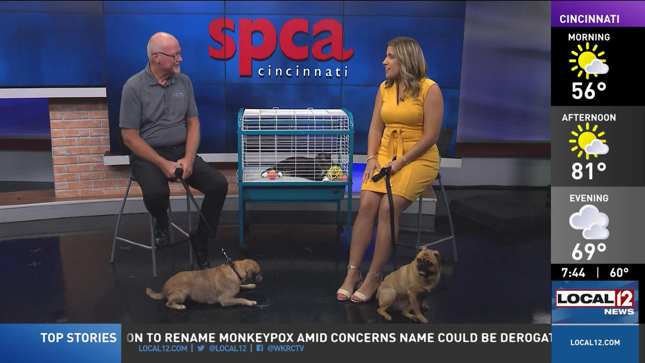 08.13 - 11.00.00 - Good Morning Cincinnati Saturday  ᴺᵉʷ. News covera....ts_snapshot_01.51.05_[2022.