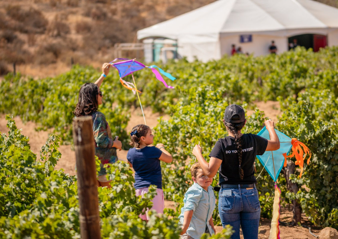 FIESTA DE LOS VIÑEDOS EN FLOR, EVENTO DE SUSTENTABILIDAD Y SOLID