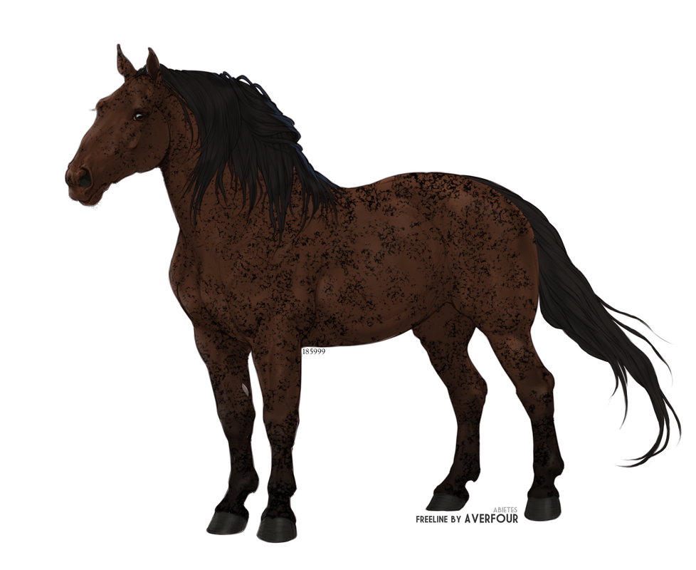 sparkles14.png