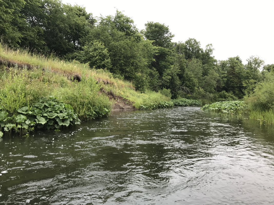 7178D569-D2AC-4116-A4BE-EFCFEE8758FA