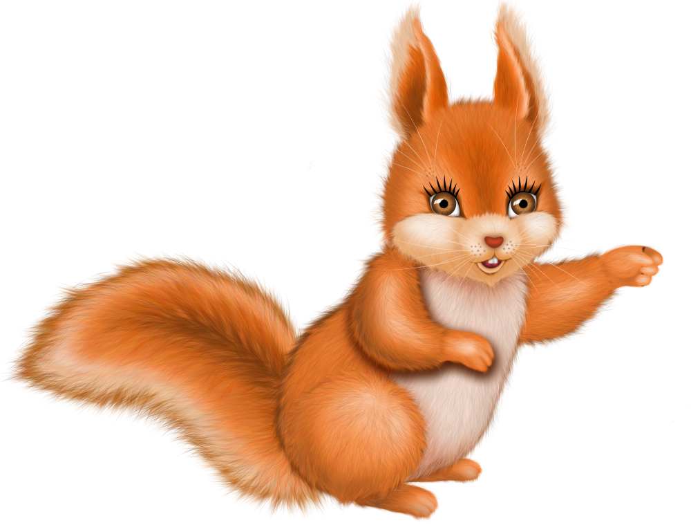 Christmas in Forest10