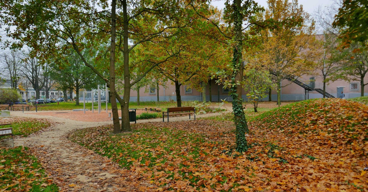 P1240597.jpg