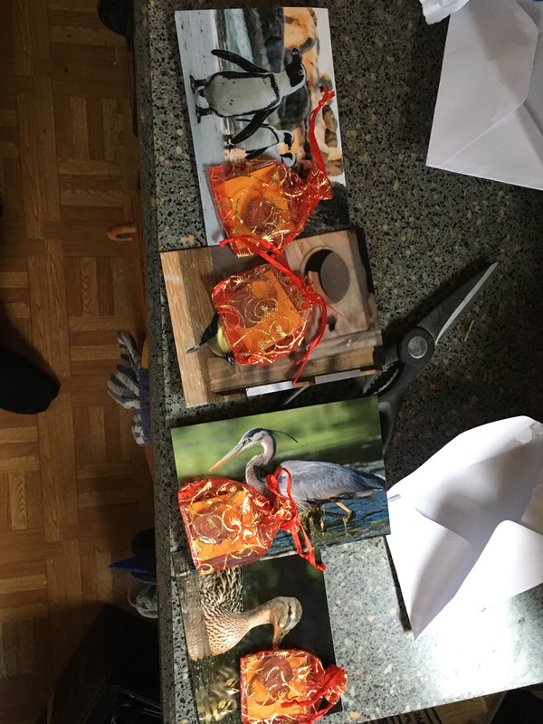 9D8151DB-8CE4-4430-A7C6-188F885F3ED1