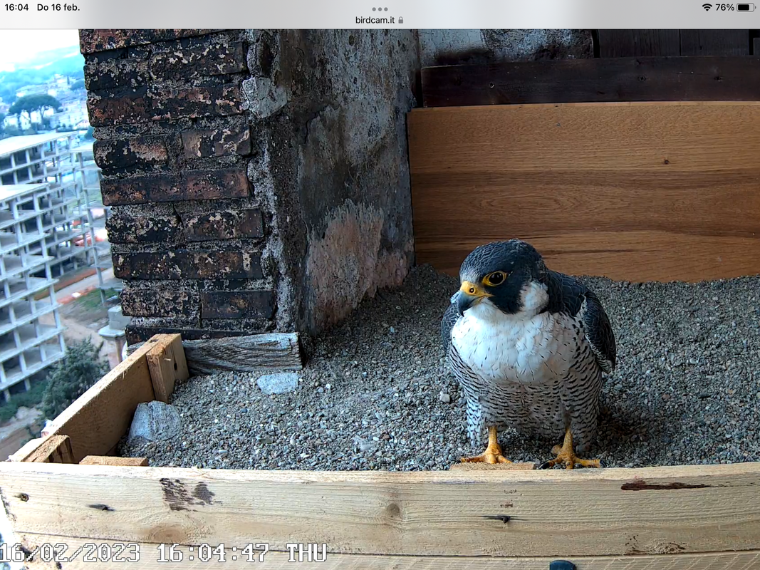 06F1DD2E-F504-43E1-B283-E81952F764AD