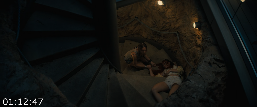 [Kép: Primate-2025-1080p-WEBrip-10Bit-DDP-5-1-...o-Noir.png]