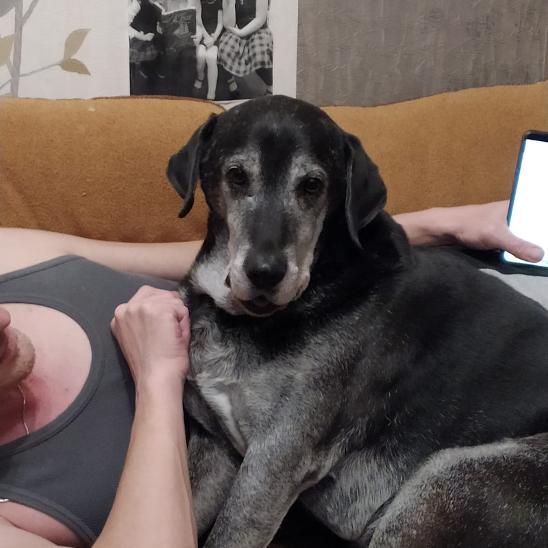 AA84DED1-57B1-448A-9318-22272F6863D5