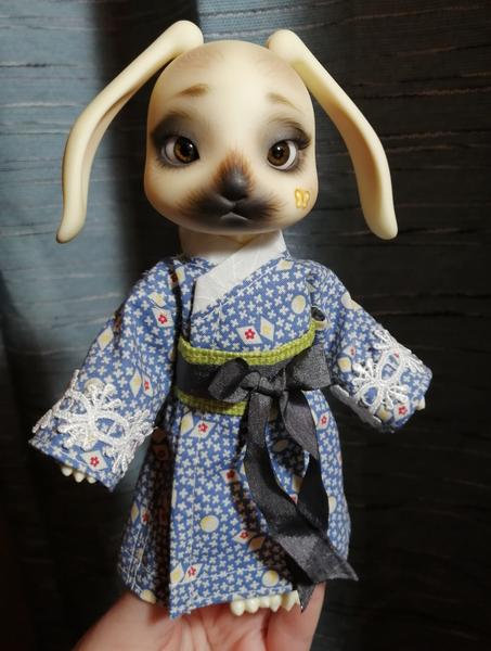 IMG 20260128 184937 2