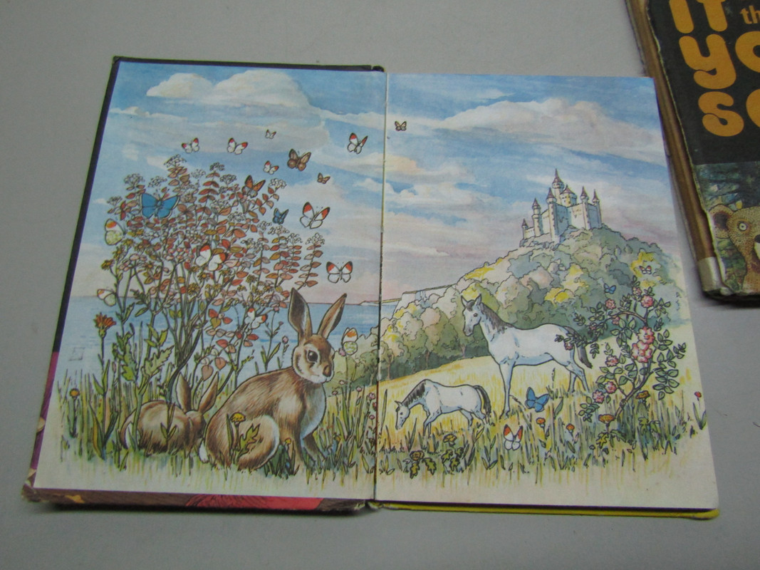 IMG 3216 — Postimages