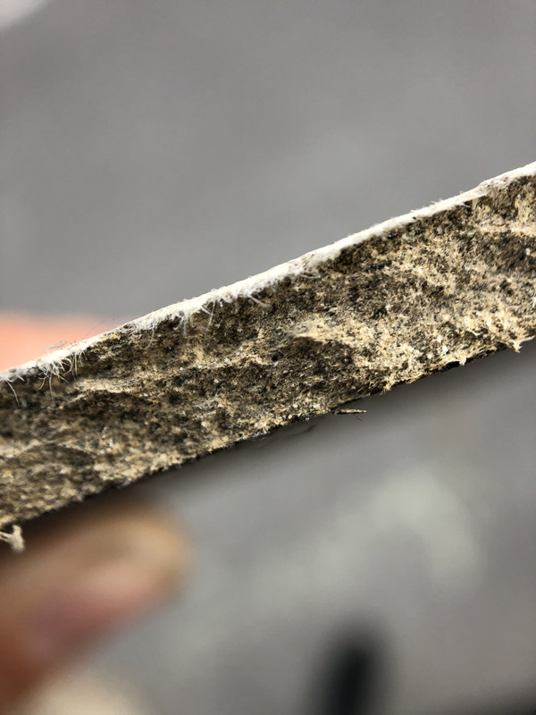 B7FDED7B-8F55-4FE1-B07E-3A3AA46C6B6C