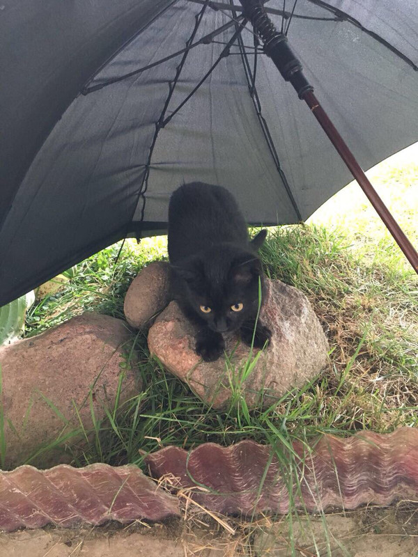 7DCAB60D-99FC-4AE9-AB08-86ACB85F0755