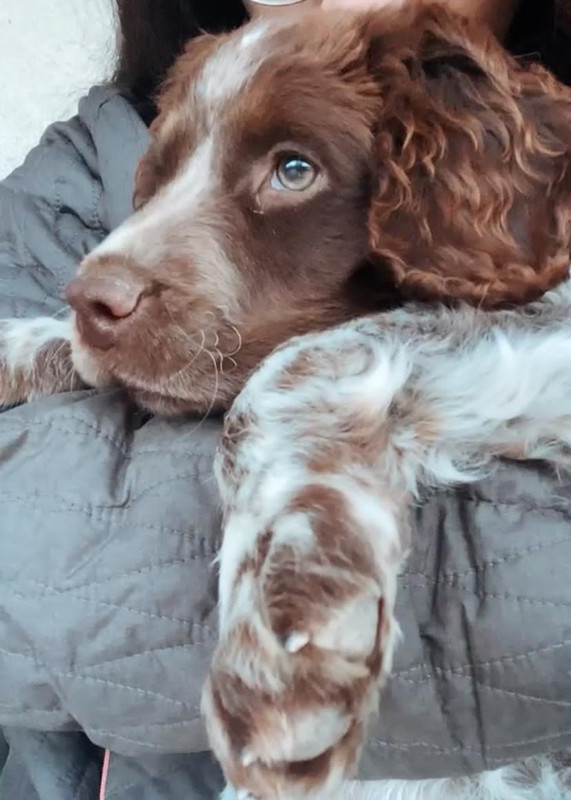 906CE597-914C-4DA2-8073-52EACED0103D