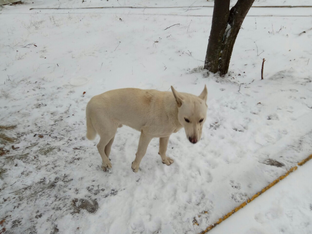 CF16357D-C57D-4C18-8990-4F482425BDEE