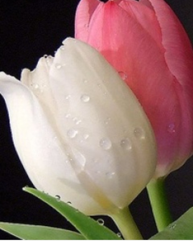 IMG_٢٠٢١٠٦١٠_٢٢٠٩١٣