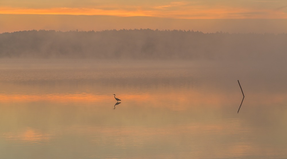 800ximg-20221024-150129