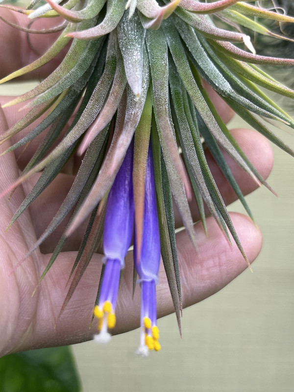 203251C0-D7C7-4BE0-9490-21E0B7EBC9BF