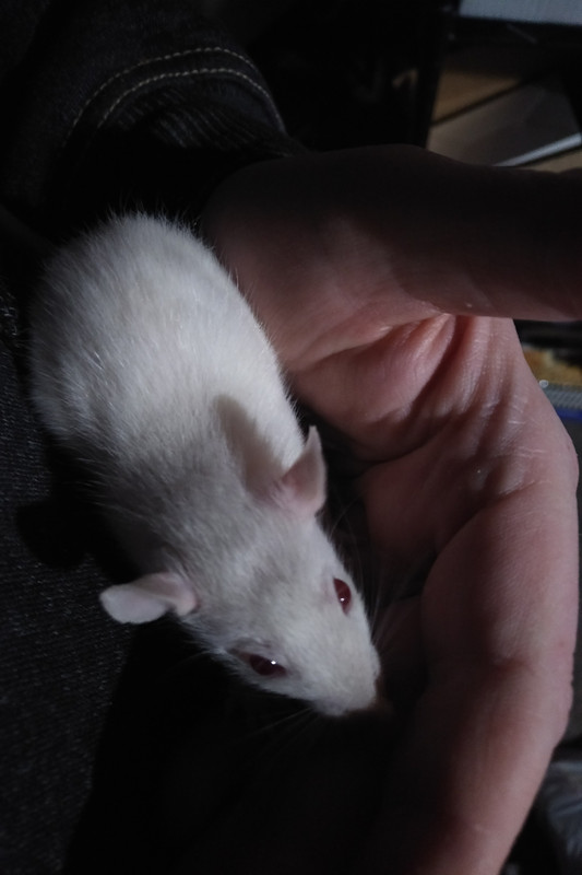 IMG_20200306_1751231