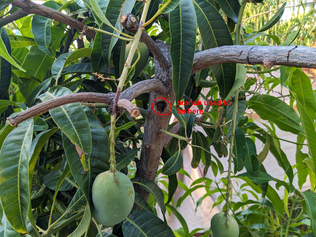 PXL_20240711_014359897