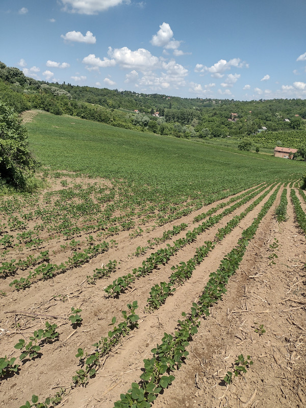 IMG-20210617-111014257-HDR-1.jpg