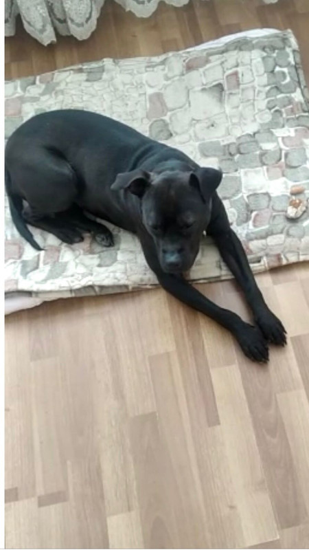 WhatsApp Image 2023-04-08 at 14.02.07 (1)