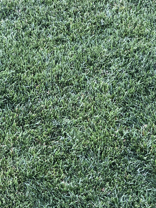 40FBF0BE-52E6-4931-8FF8-D760F1F84376