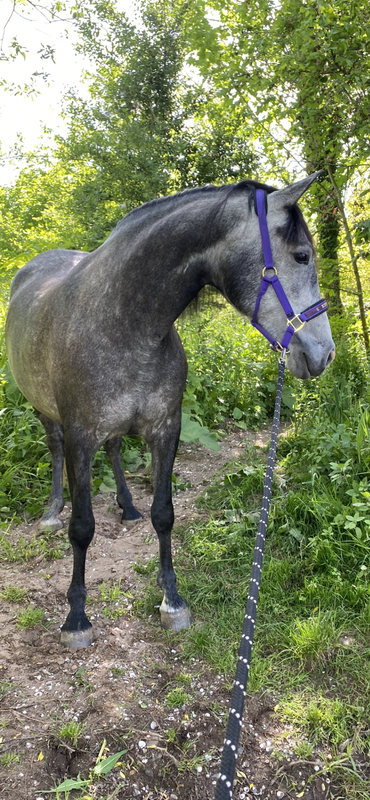 252DF23D-D195-41B1-8CCF-7DB0E9C4CCBD