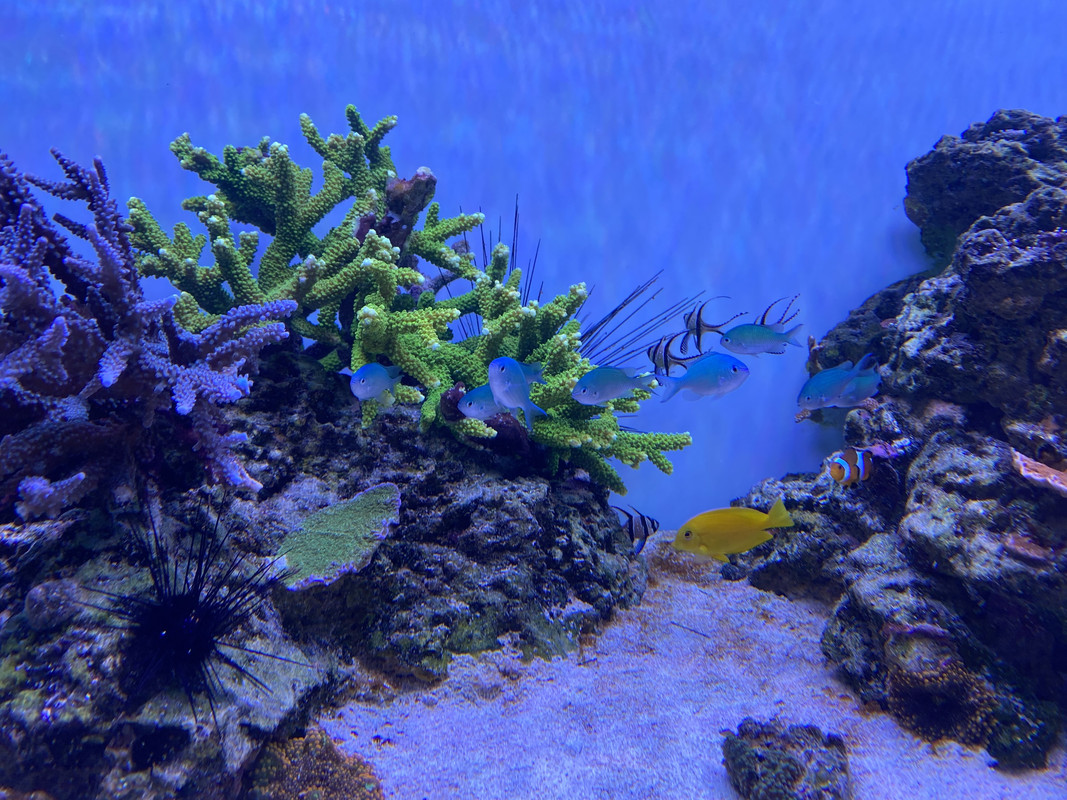 966FD356-9A6A-4C5D-B687-CEDEC456CE98