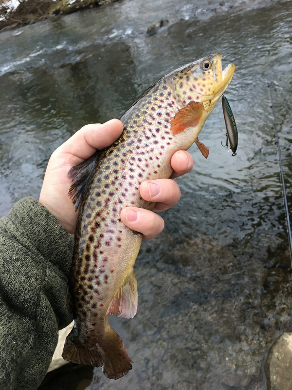 2C5BD04A-0FF0-4325-B6CC-0F5675A3251D