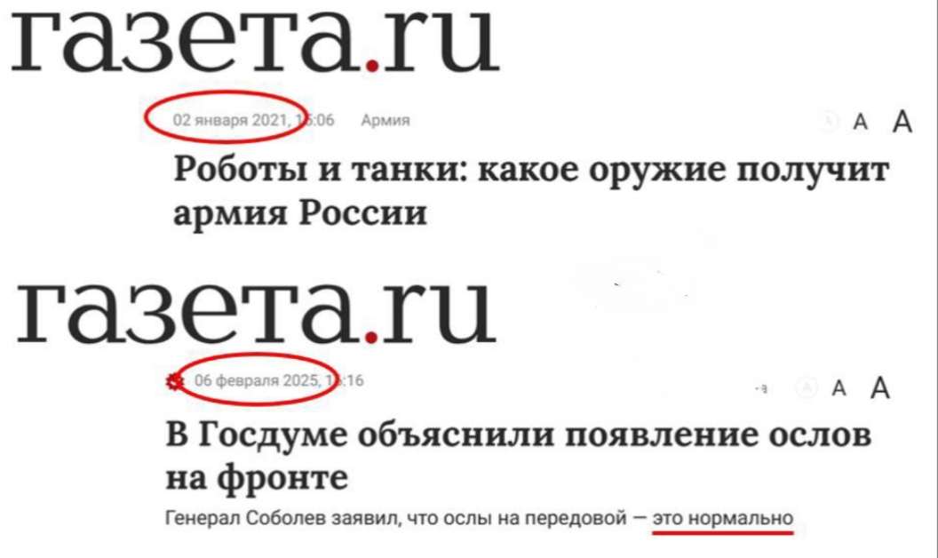 9 февраля 2025 Одессу на Осликах,будем освобождать.....