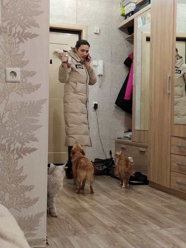 IMG-26922ce877b14c1e9281bf0efda9329d-V