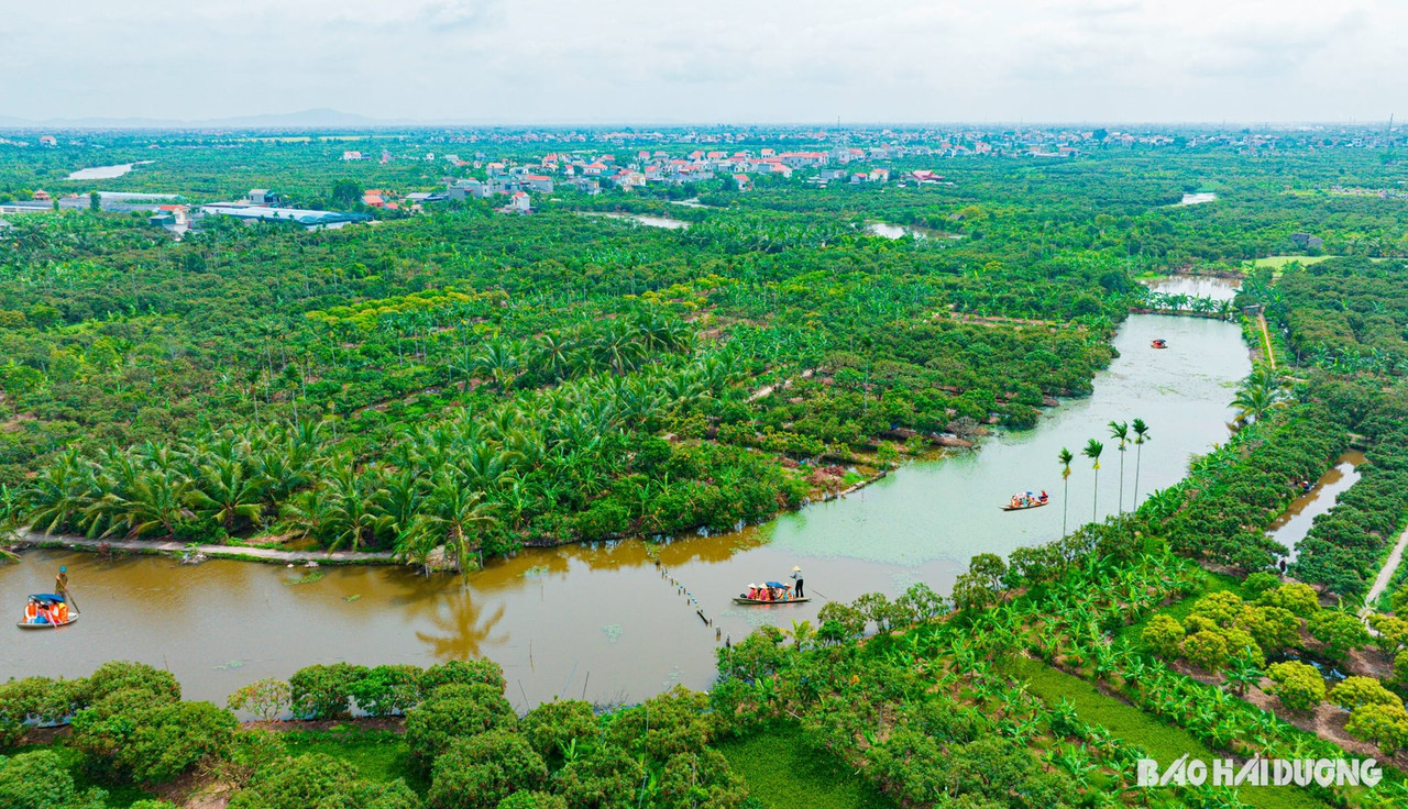 đồng mẩn thanh hà hải dương