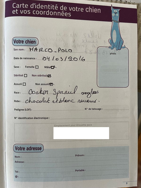 [Image: Carnet-Moka-Marco-Polo-masqu.jpg]