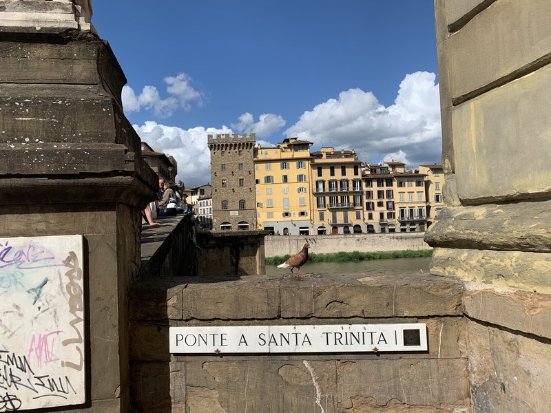 Florencia: Galleria dell'Accademia y Galleria degli Uffizi - Perugia y Florencia en mayo de 2024 (31)