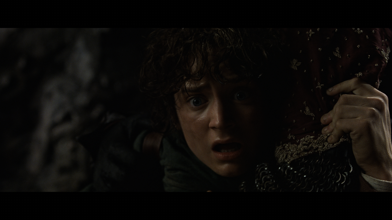 The Lord of the Rings- The Fellowship of the Ring (EXT.).mkv_snapshot_00.41.52_[2020.12.05_22.51.18]