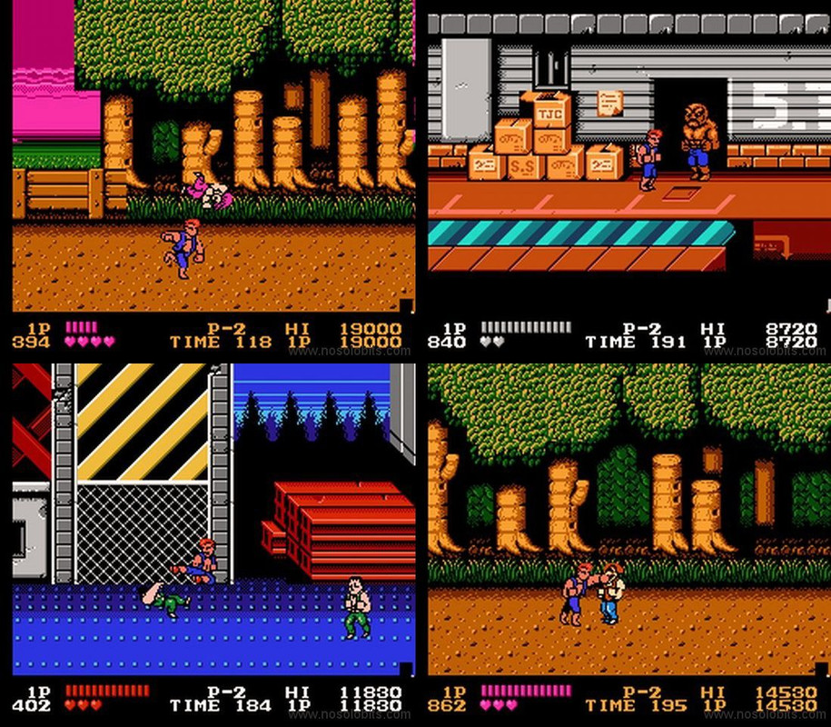 cover NES Double Dragon