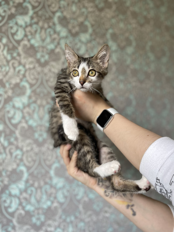 501C8731-225C-4D88-B4E2-C17369D4BDA2