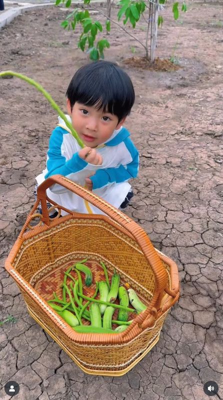 gal-9807354-20250625055025-4852587