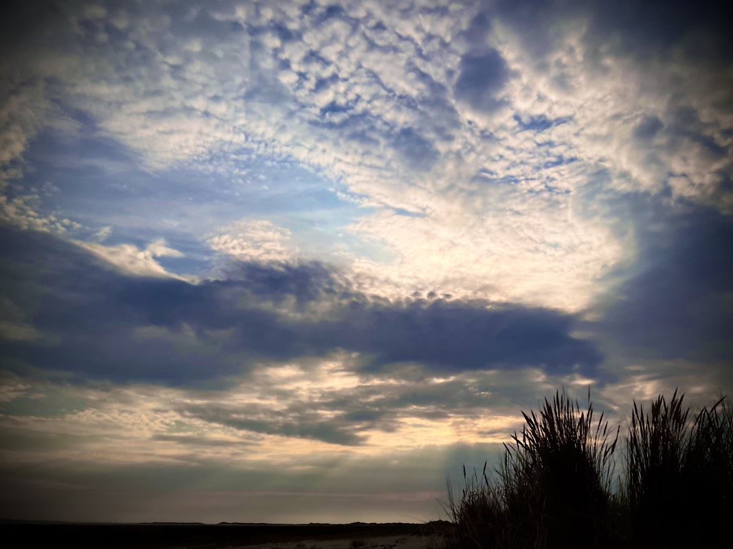 E8CCD58B-B5EB-4379-BFFF-87E052378E04