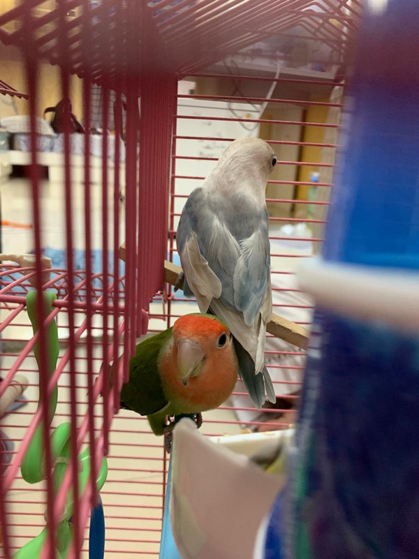 3BABA4CC-99BC-4FFD-B113-1376D61A5EC8