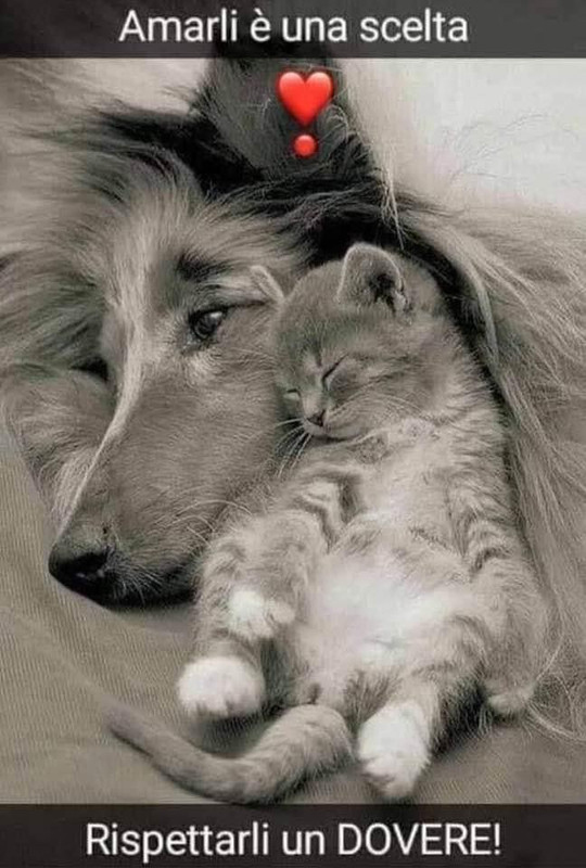 5C057DAA-2269-4E8D-86F6-DCE66158EC10