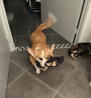 [Image: 57160-D6-B-85-BE-44-A6-97-B6-787-BA9-F57720.jpg]