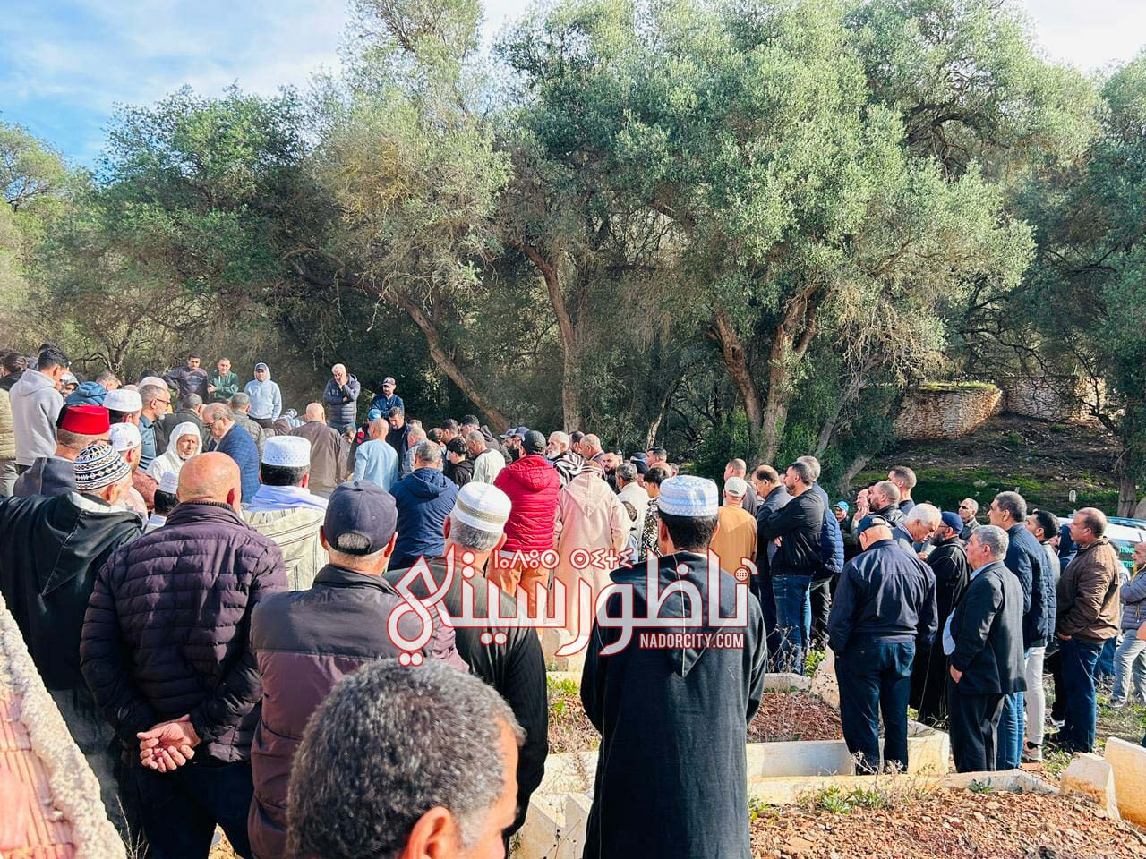 588640159-683405384842289-518929318853353903-n