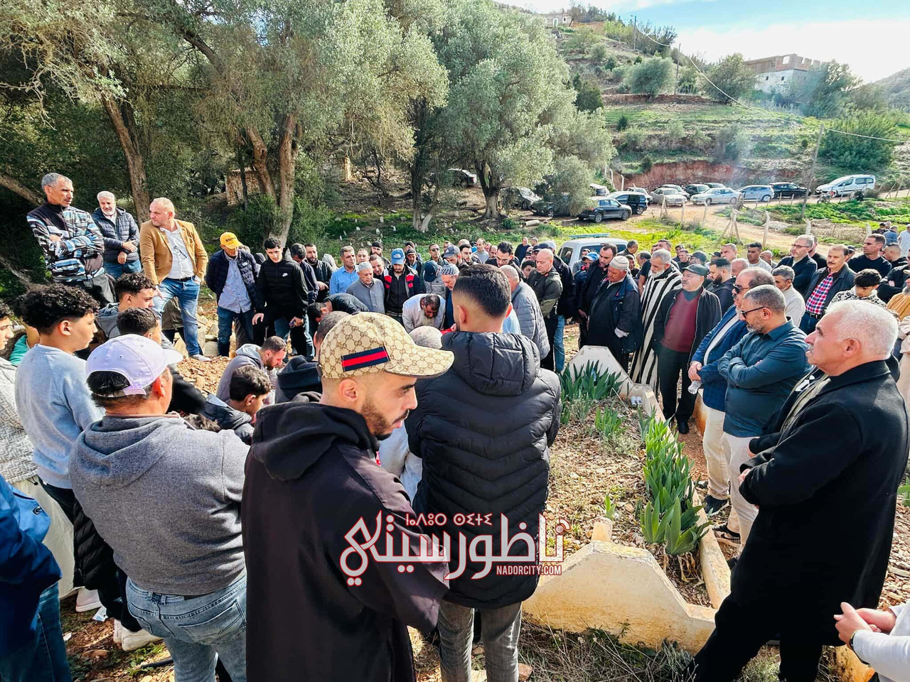 588404477-1356073119404845-421492810621360550-n